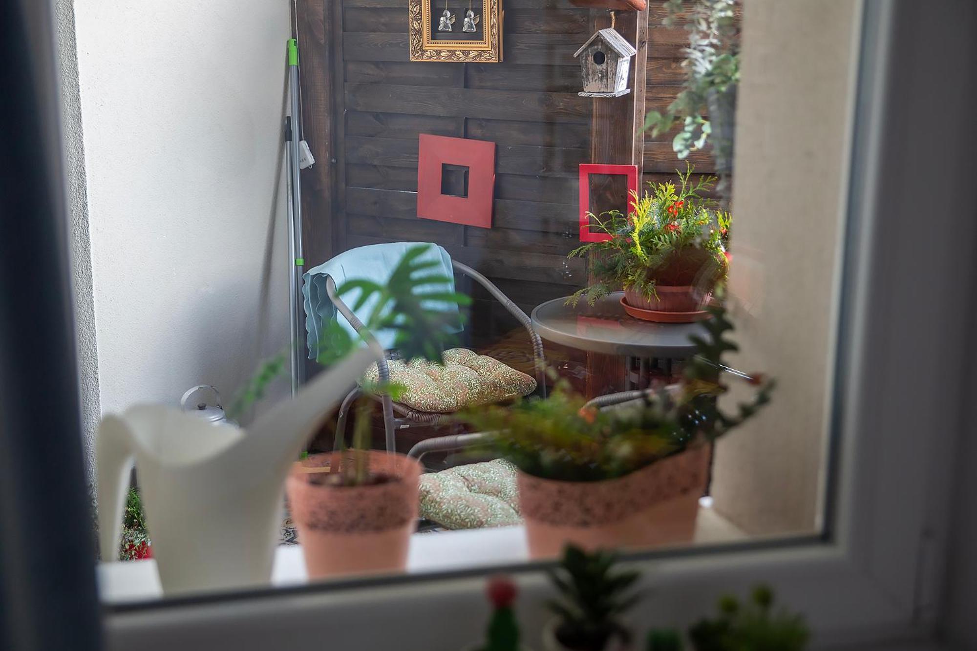 Apartament U Olechny 4 Bydgoszcz Exteriör bild